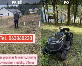 Apleistas sklypas prieš ir po pjovimo
